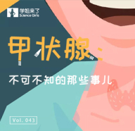 Vol.043-内容模块.jpg