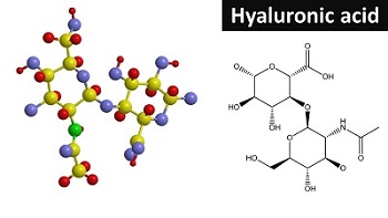 透明质酸分子