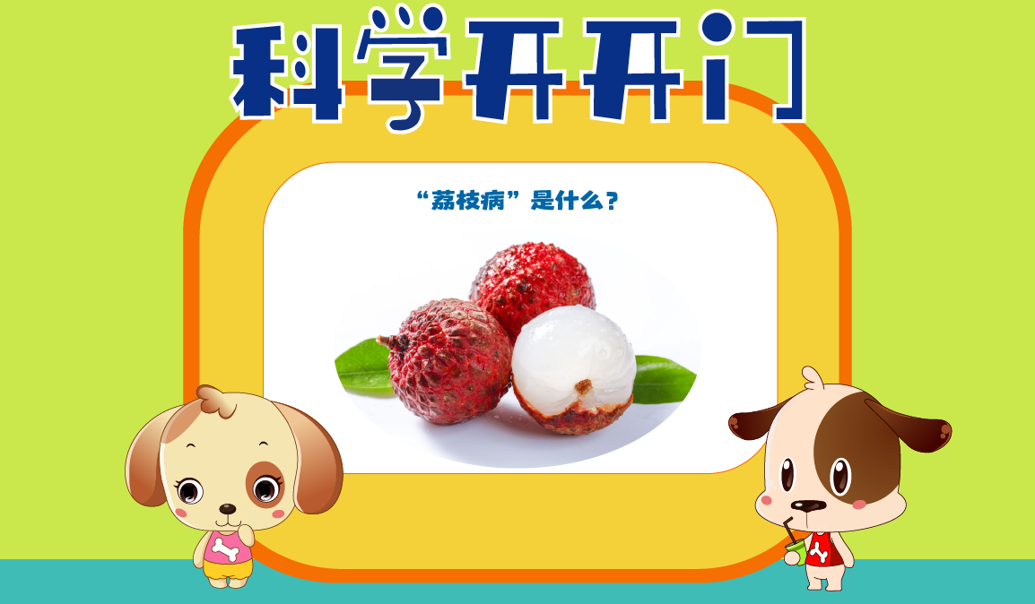 首页幻灯4