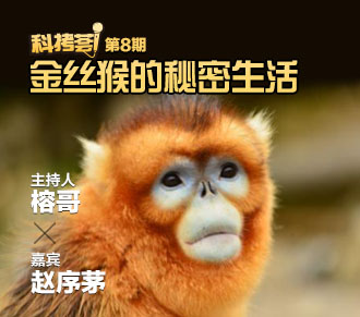 【活动报名】科拷荟第8期——金丝猴的秘密生活